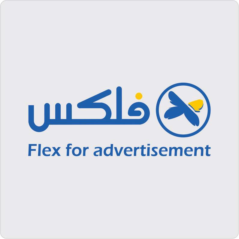 Flex Egypt Advertising Company with its branches